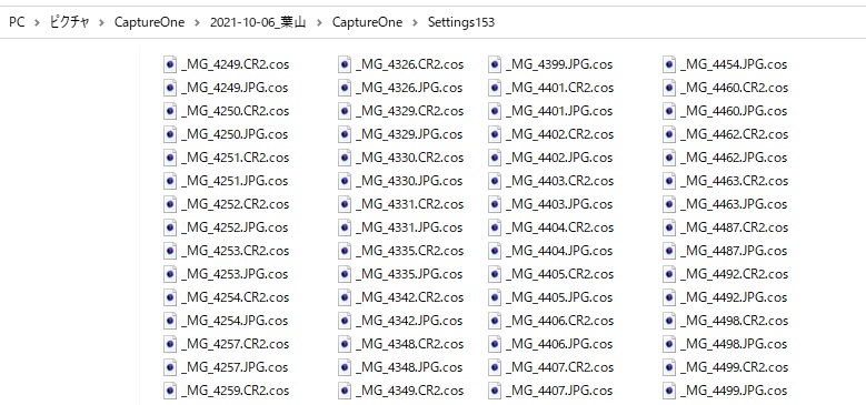 Capture OneのRAW現像調整値ファイル