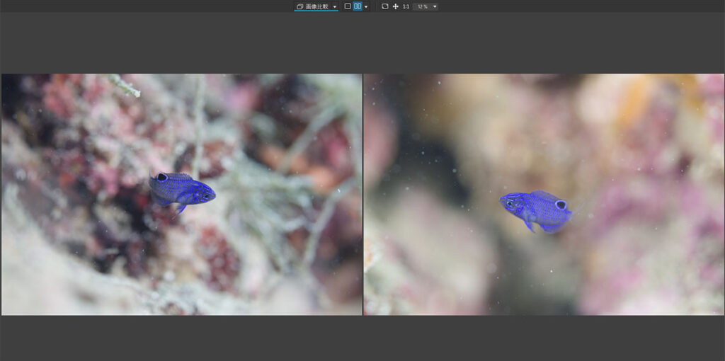 PhotoLab8新機能の画像比較