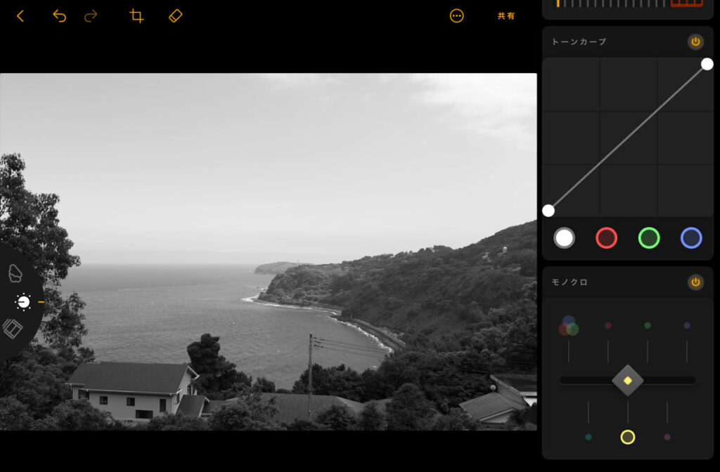 iPad用Luminarのモノクロ設定画面