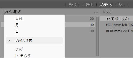 メタデータのファイル形式を選択