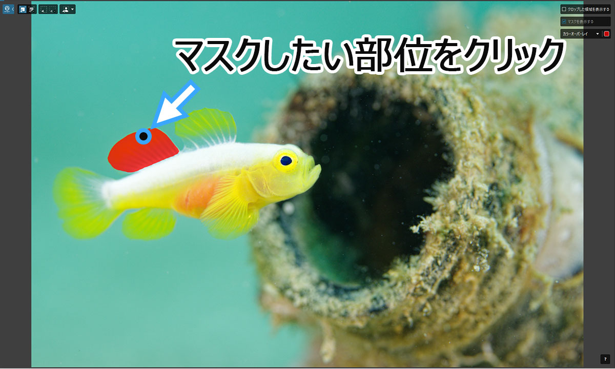 AIマスクで局所的な部位を選択