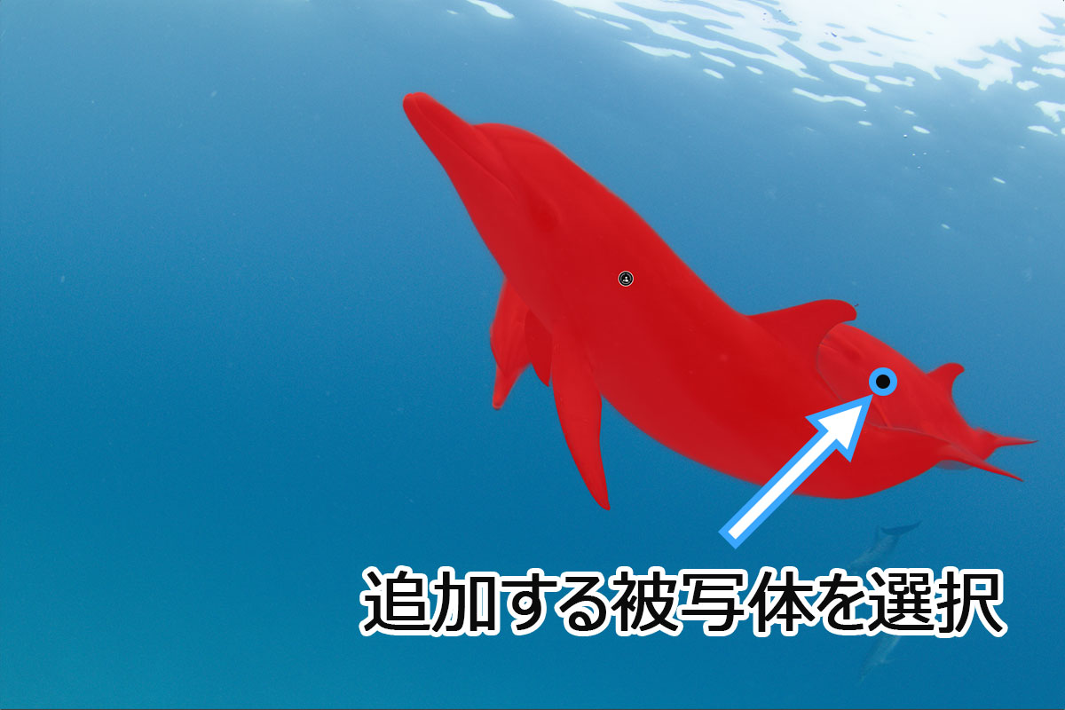 追加する被写体をAIマスクで選択した結果