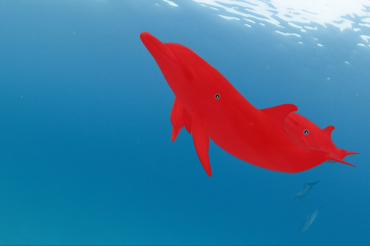 AIマスクを追加して作成されるマスク