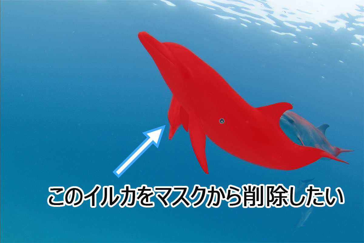 AIマスクで一部を削除するサンプル写真