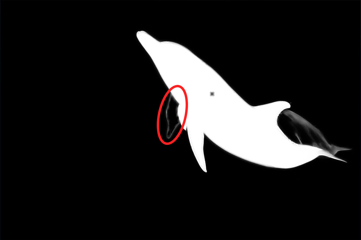 AIマスクで削除後もわずかに残る輪郭のマスク