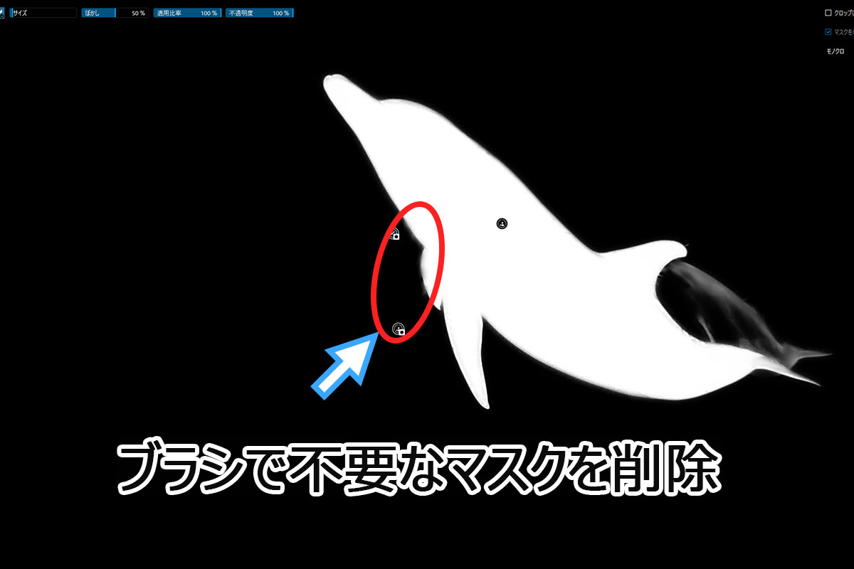 ブラシで不要なマスクを削除した結果