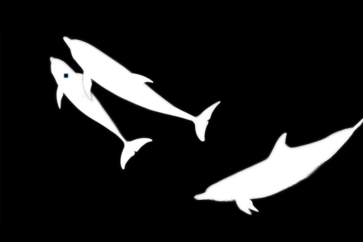 統合されたマスク