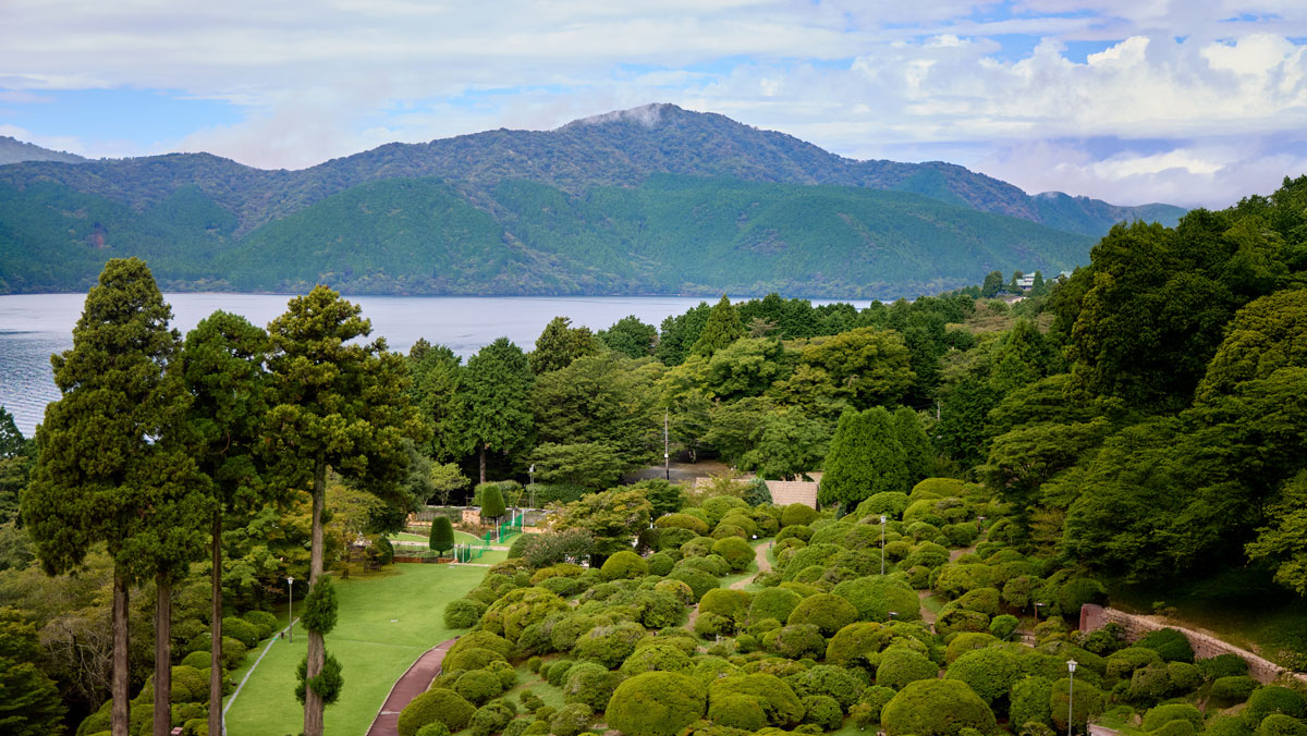 生成拡張後の写真