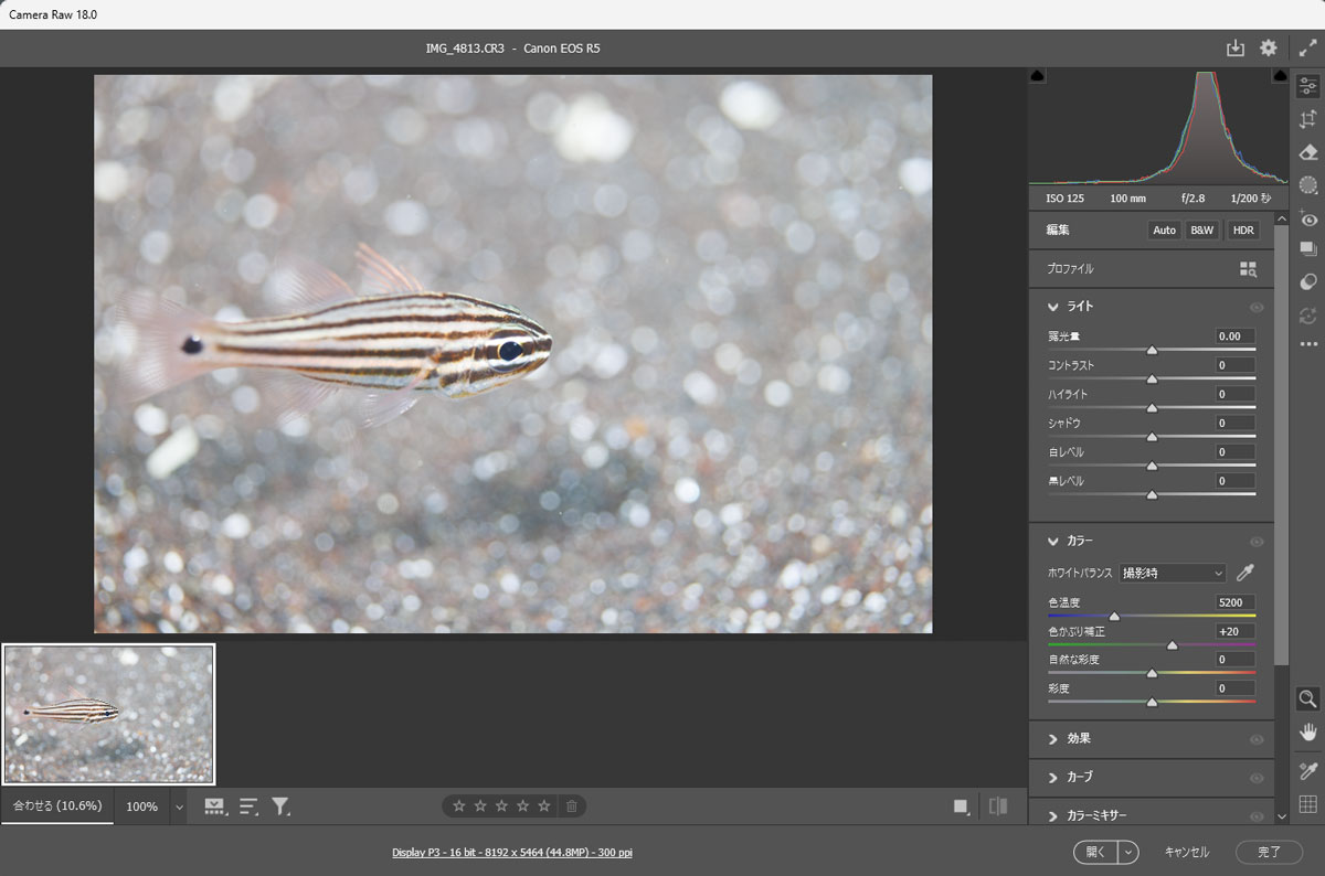 Camera Rawが起動した状態