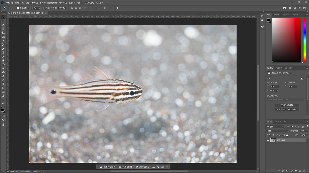 写真がPhotoshopで表示された状態