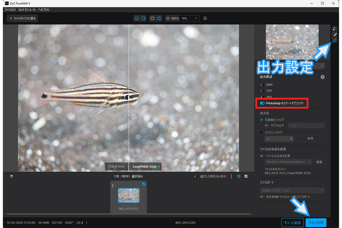 PureRAWの出力設定