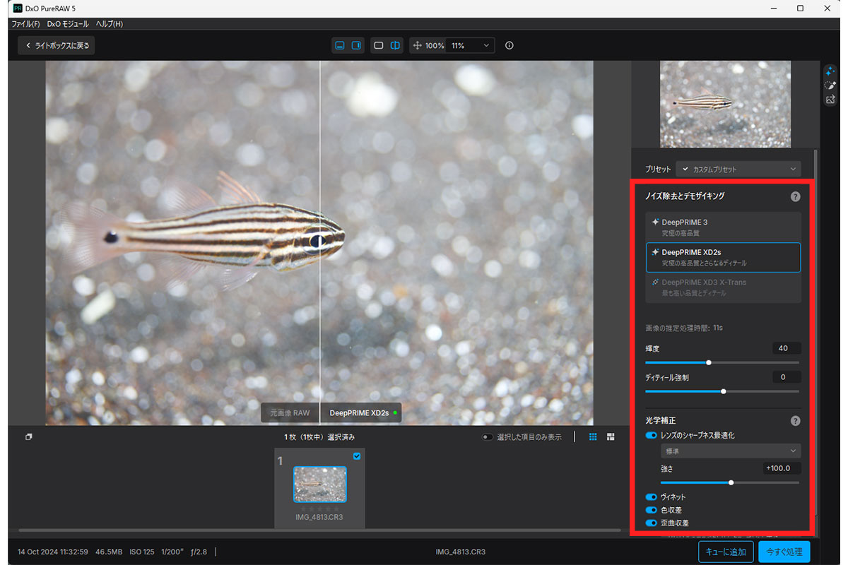 PureRAWの設定メニュー