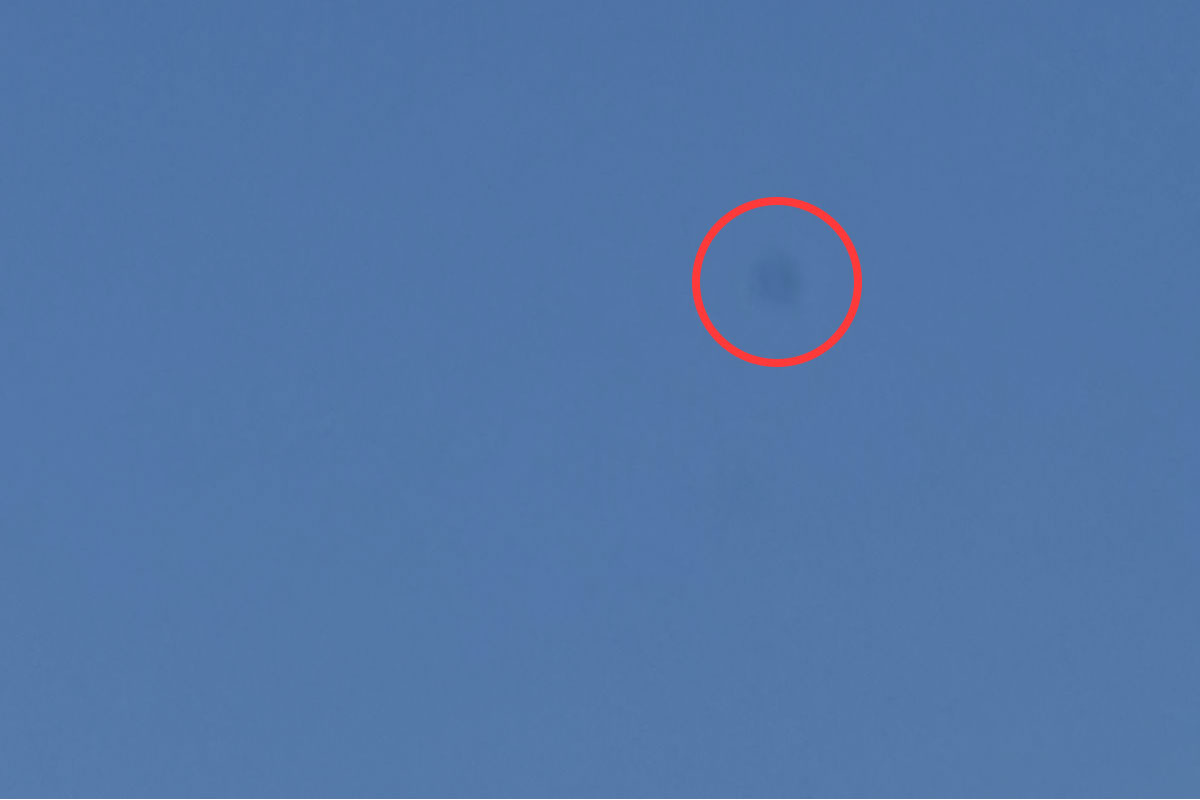 ゴミ除去前の写真