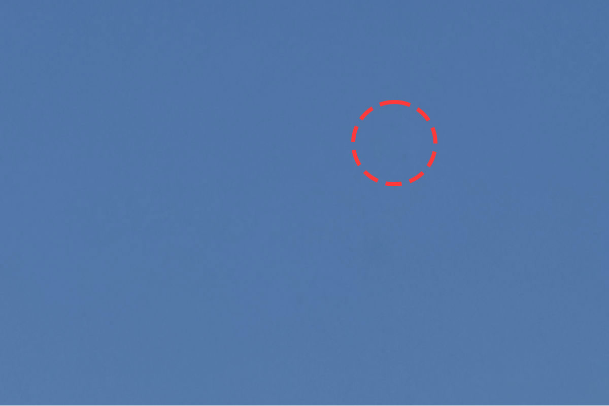 ゴミ除去後の写真