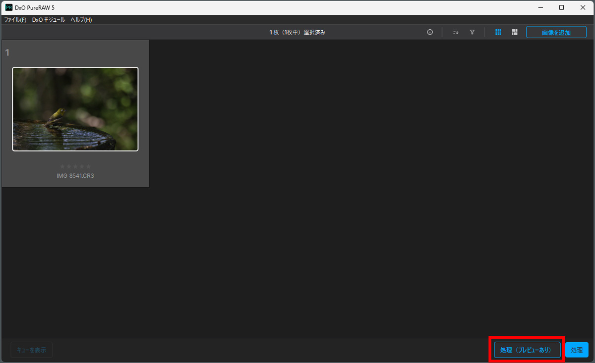 PureRAWに画像取り込み後の画面