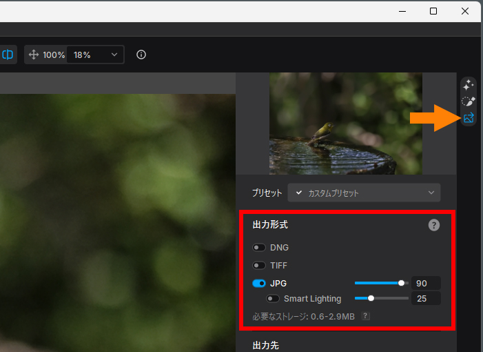 PureRAWの出力形式設定画面