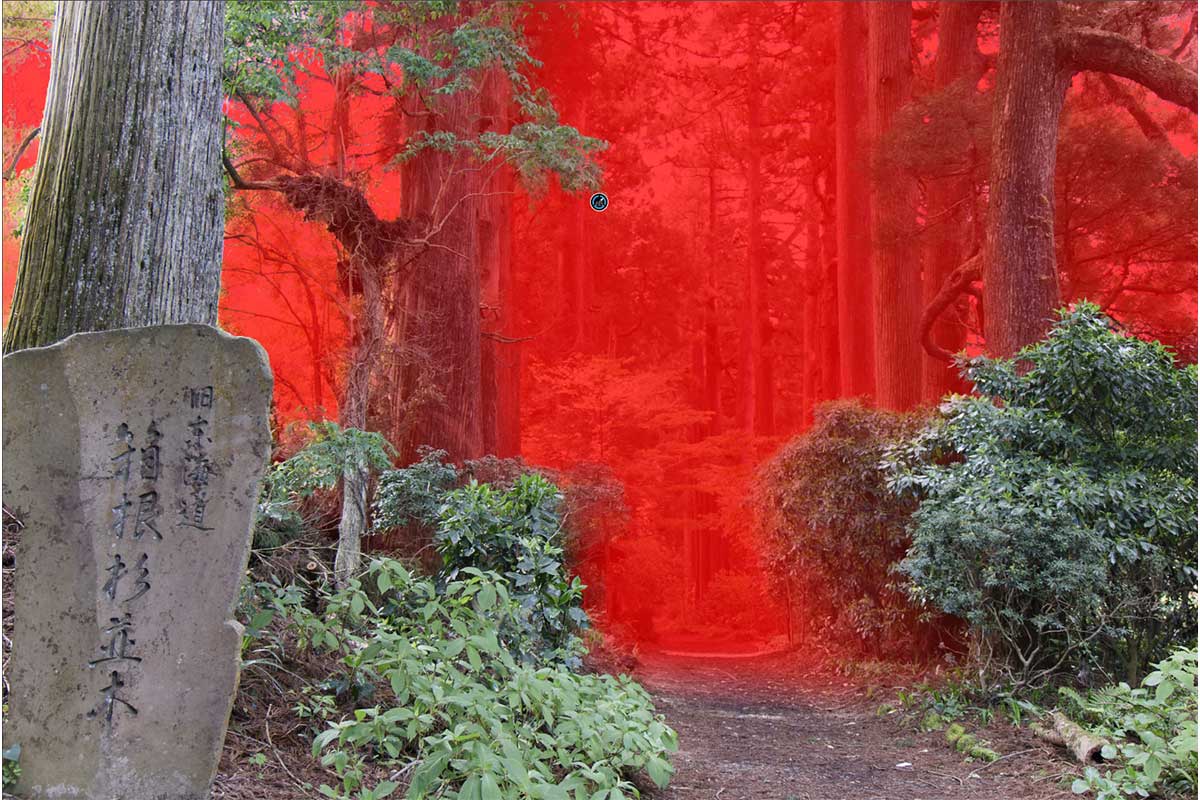 PhotoLab 10の深度マスクで背景を選択した画面