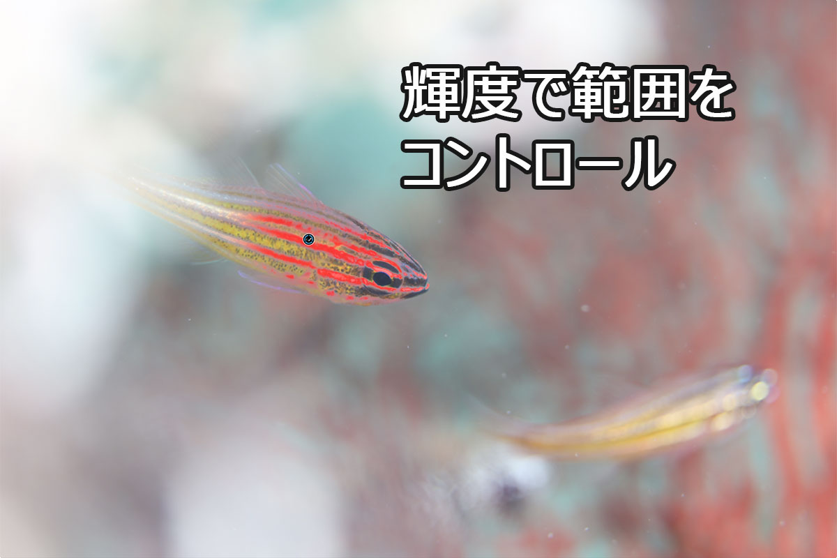輝度スライダーで選択範囲を狭くした状態