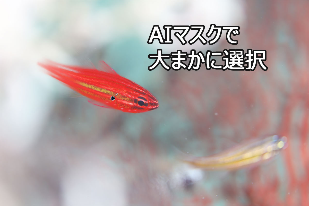AIマスクで大まかに選択した状態