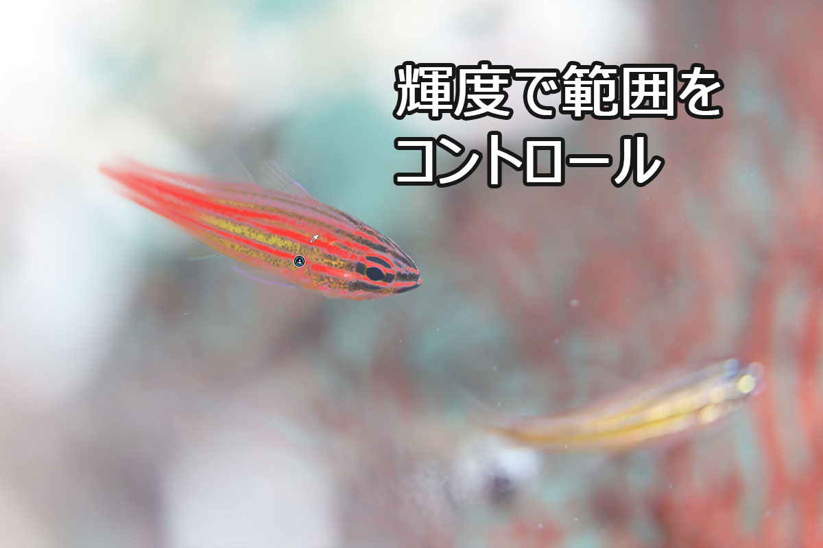 スポイトと輝度で選択範囲を調整した状態